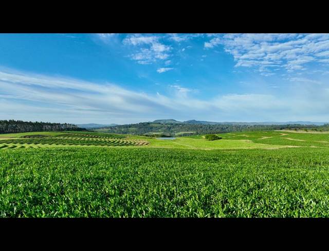 LAND FOR SALE IN MOUNT VERDE